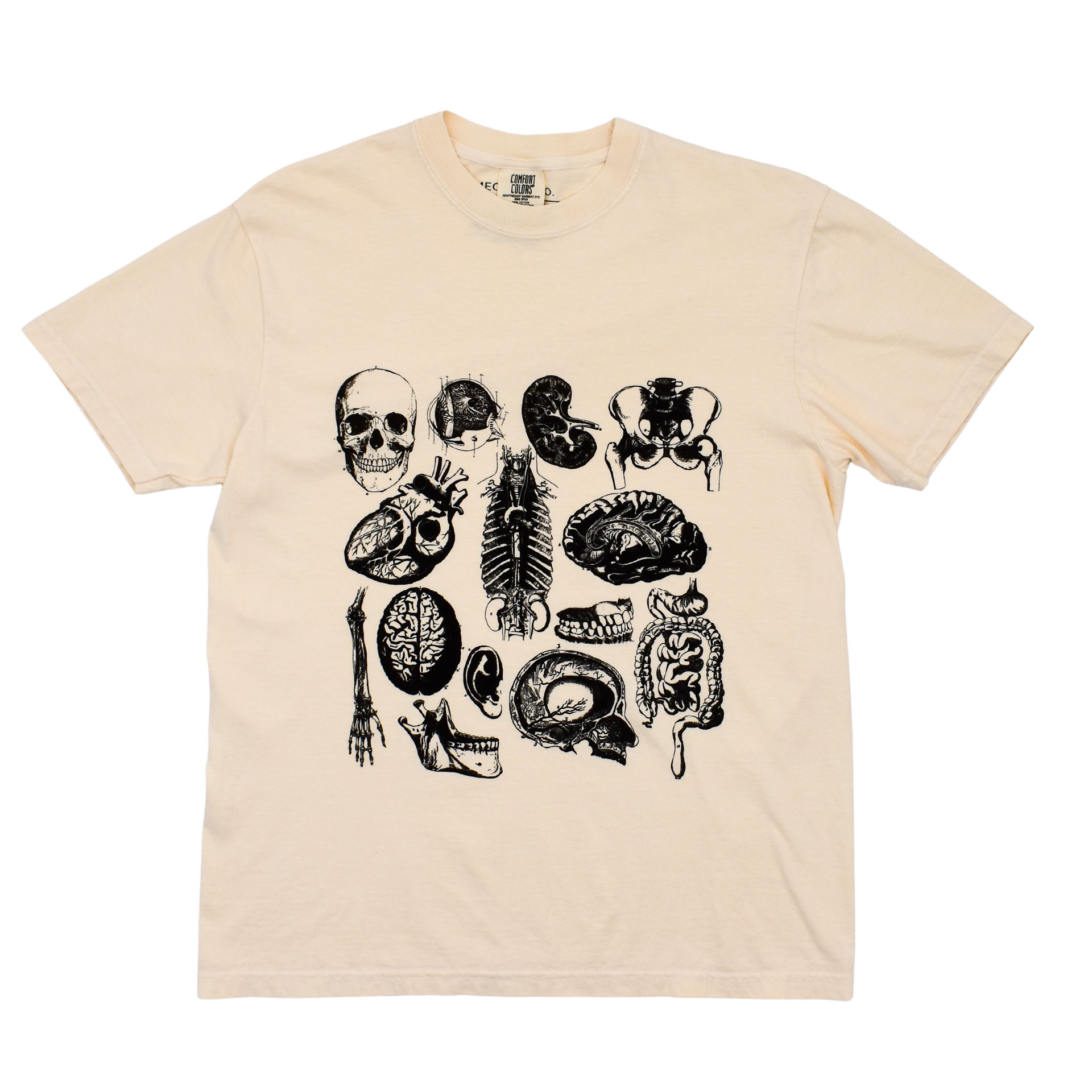 Anatomy shop t shirt