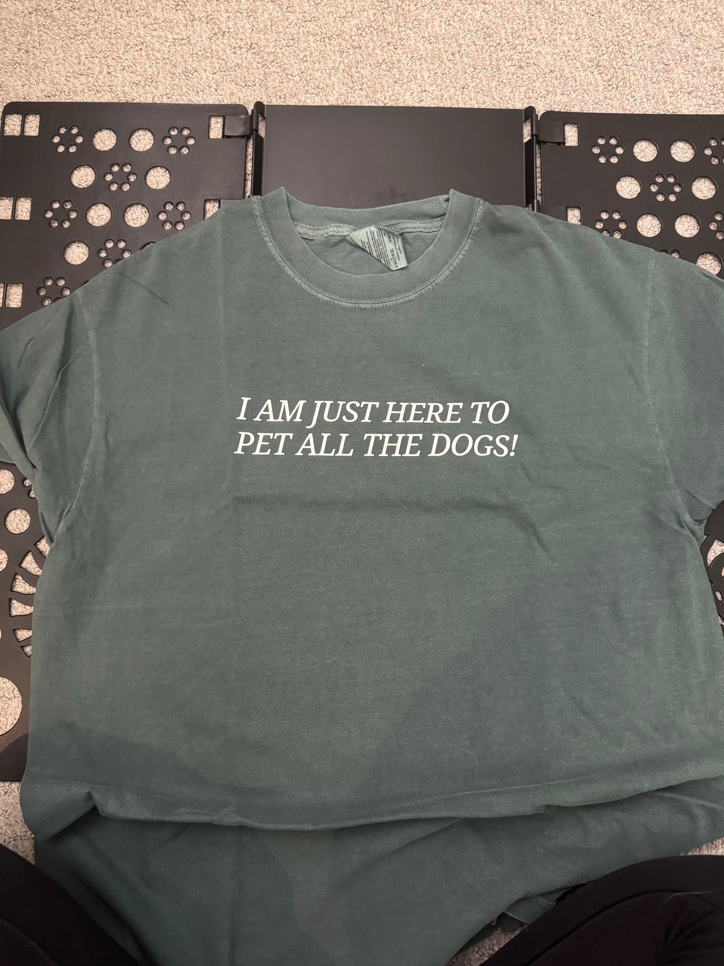 I Am Just Here to Pet All the Dogs T-Shirt Misprint (LARGE)